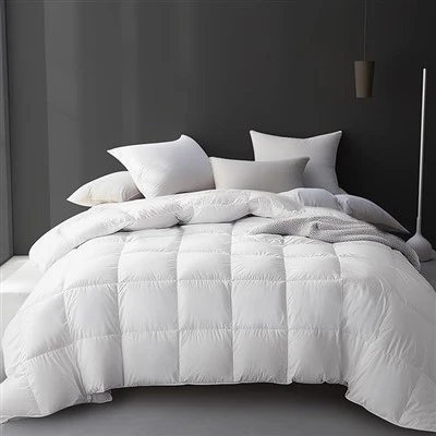 Comforter Olann Éadrom